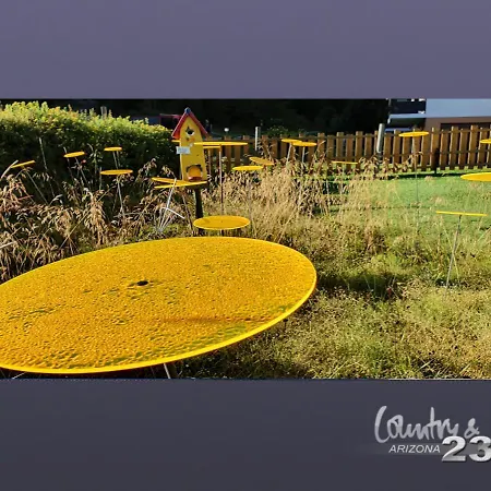 Arizona 23 25+ Adults Only Зас-Фе