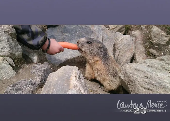 公寓 Arizona 23 25+ Adults Only