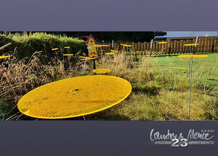 Arizona 23 25+ Adults Only 萨斯费